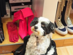 Boutique Must have  28.11.2025